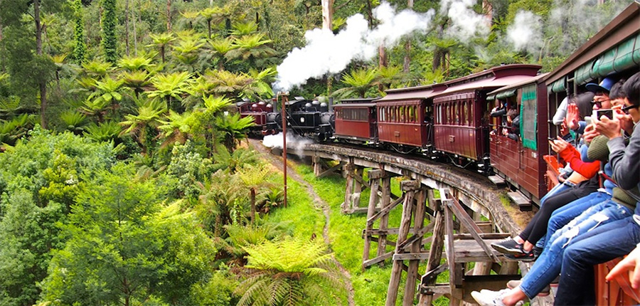 4 Things You Didn't Know About Puffing Billy - Melbourne on the Move