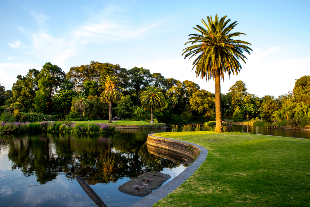 Melbourne Royal Botanic Garden