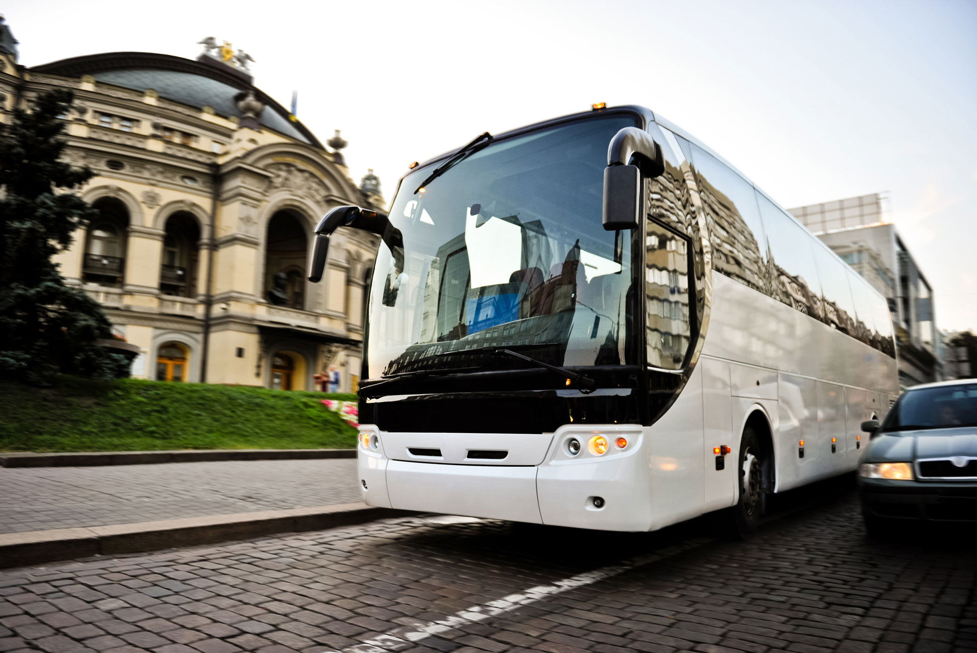 Bus Hire Melbourne Coach Hire Bus Hire Melbourne with Driver MOTM